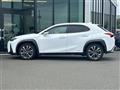 2020 Lexus UX