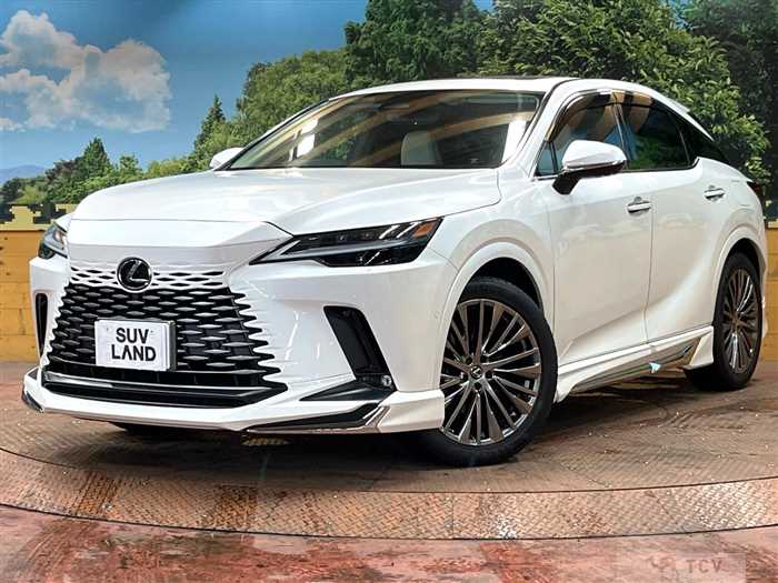 2024 Lexus RX