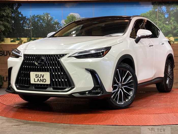 2023 Lexus NX