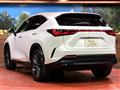 2023 Lexus NX