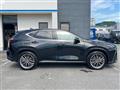 2024 Lexus NX
