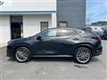 2024 Lexus NX