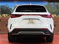 2022 Lexus NX