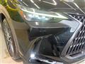2022 Lexus NX