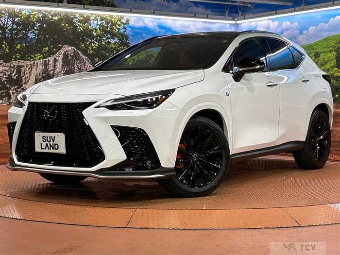 2023 Lexus NX