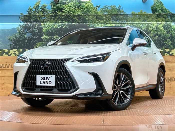 2023 Lexus NX