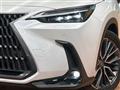 2023 Lexus NX