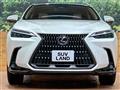 2023 Lexus NX