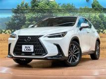 2023 Lexus NX