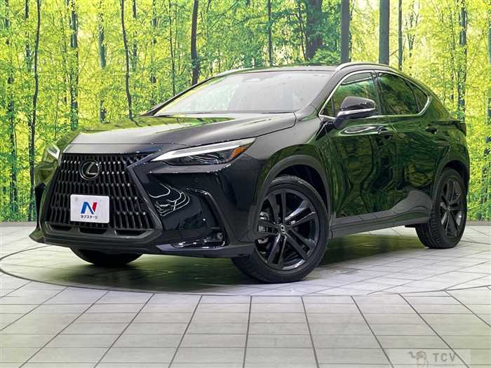 2024 Lexus NX