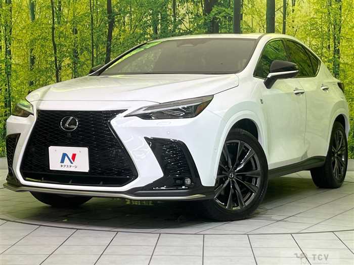 2024 Lexus NX