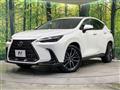 2024 Lexus NX