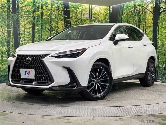 2024 Lexus NX
