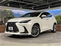2024 Lexus NX