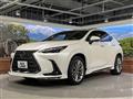 2024 Lexus NX