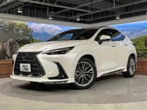 2024 Lexus NX