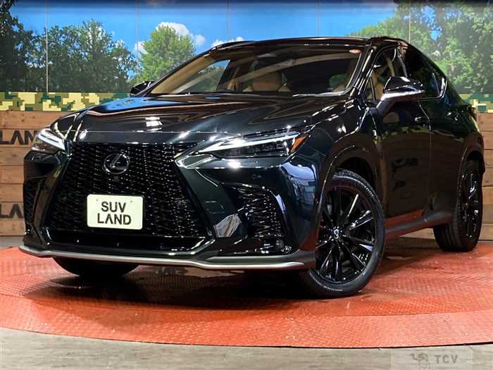2025 Lexus NX