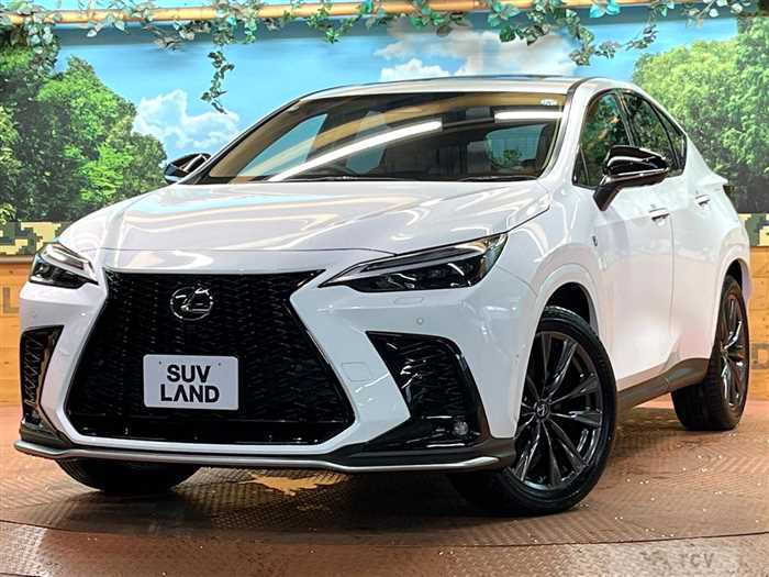 2025 Lexus NX