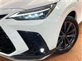 2025 Lexus NX