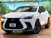 2025 Lexus NX