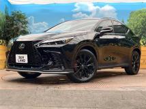 2025 Lexus NX