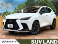 2025 Lexus NX