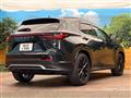2025 Lexus NX