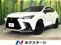 2025 Lexus NX