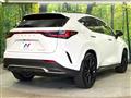 2025 Lexus NX