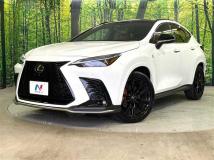 2025 Lexus NX