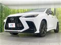 2025 Lexus NX