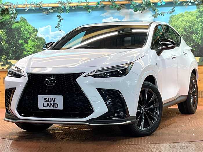 2022 Lexus NX