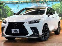 2022 Lexus NX