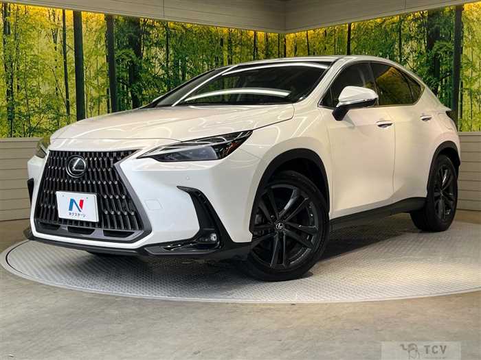 2023 Lexus NX