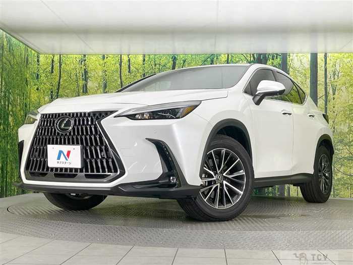 2023 Lexus NX