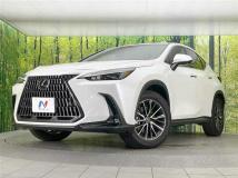 2023 Lexus NX