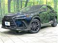 2024 Lexus NX