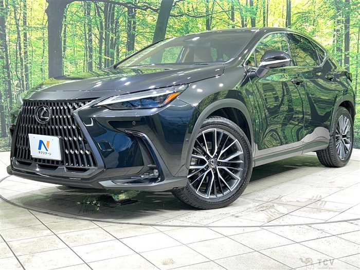 2024 Lexus NX