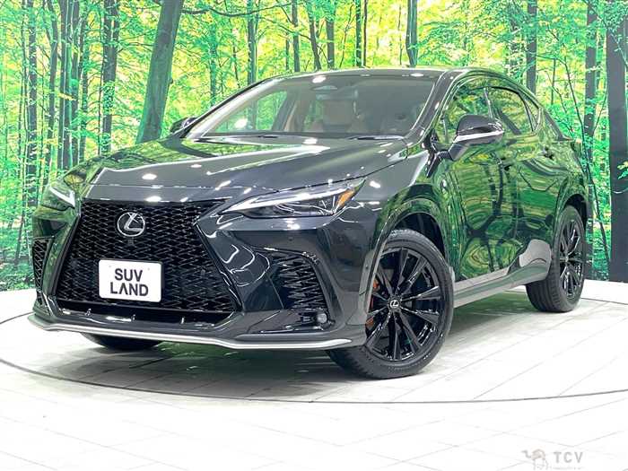 2025 Lexus NX