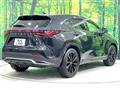 2025 Lexus NX