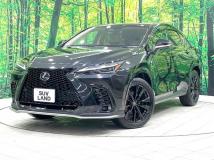 2025 Lexus NX