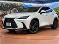 2022 Lexus NX