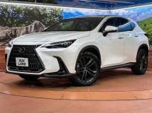 2022 Lexus NX