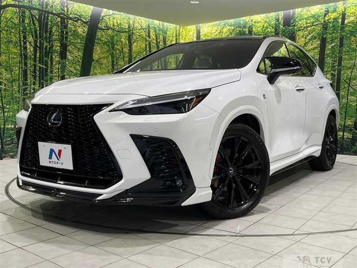 2023 Lexus NX