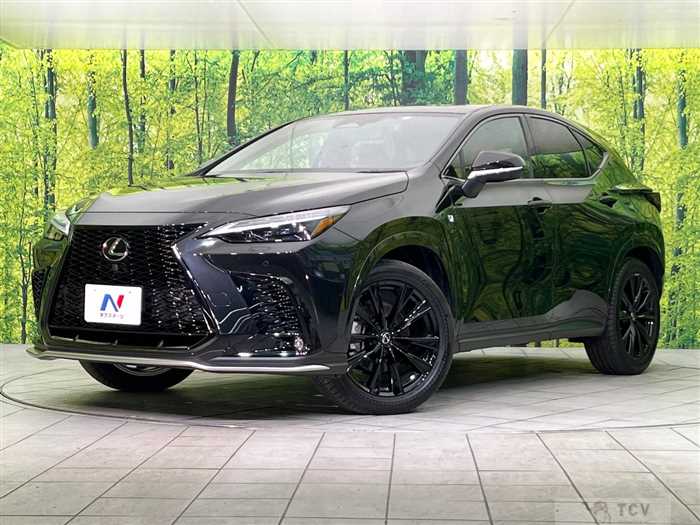 2023 Lexus NX