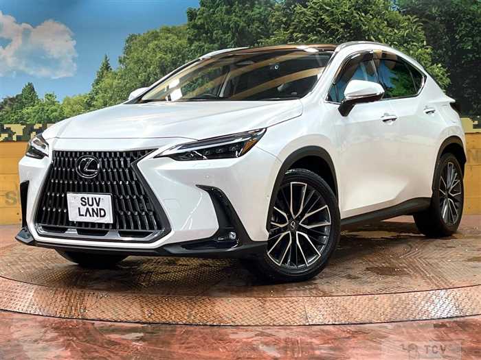 2024 Lexus NX
