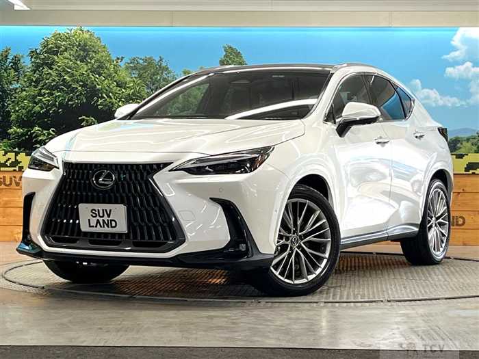 2025 Lexus NX