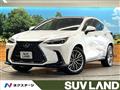 2025 Lexus NX