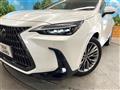 2025 Lexus NX