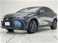 2024 Lexus NX
